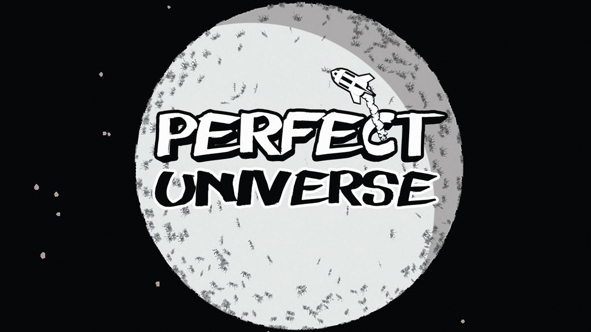 Perfect Universe